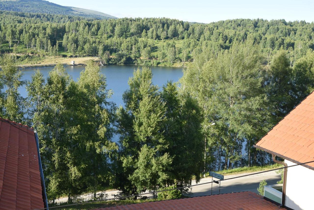 Mm Narcis Bed & Breakfast Vlasina Rid Exterior photo