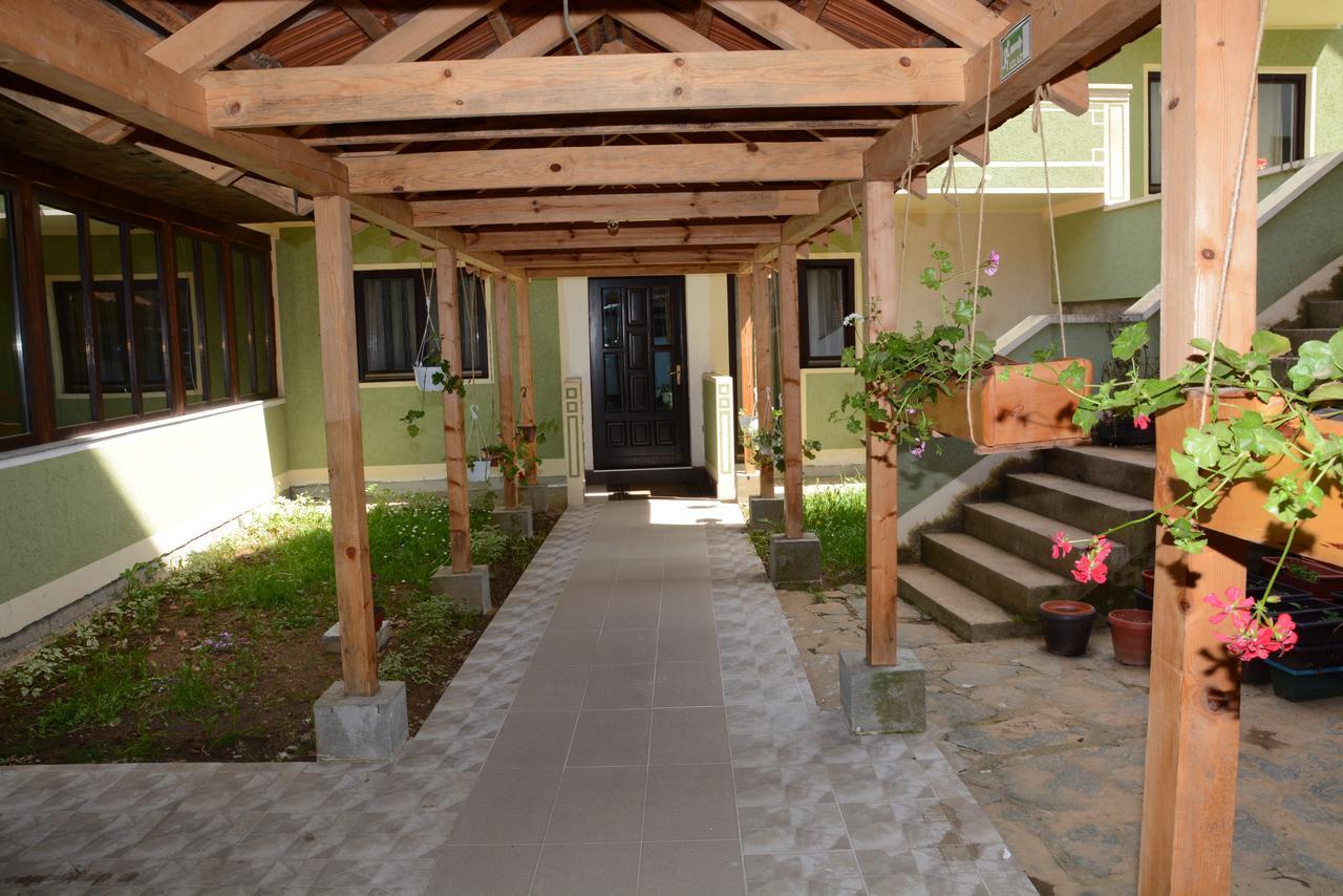 Mm Narcis Bed & Breakfast Vlasina Rid Exterior photo